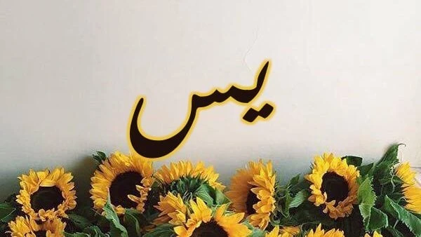 فضل تسمية الأبناء بأسماء النبي.. دار الإفتاء تكشفأجابت دار الإفتاء المصرية، على سؤال ورد إليها يقول هل هناك فضل في تسمية الأولاد باسم من أسماء النبي صلى الله عليه وآله وسلم؟ وما ال