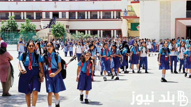 الأجراس تدق قريبا.. الدخول المدرسي 2025 الجزائر النهار ونصائح الاستعداد لعام دراسي جديد .() يبحث الكثير عن الدخول المدرسي 2025 الجزائر النهار ، حيث