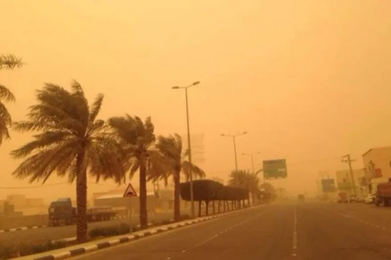 رفع درجة الاستعداد القصوى بمدن محافظة الوادي الجديد تحسبا للتقلبات الجويةشدد اللواء دكتور محمد الزملوط محافظ الوادي الجديد على زيادة مستوى التأهب في