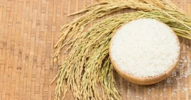 فوائد ماء الأرز للبشرة وطرق استخدامه.. الترطيب والقضاء على التجاعيد المرأة والمنوعات شاهد المقال التالي من صحافة مصر عن فوائد ماء الأرز للبشرة وطرق استخدامه الترطيب والقضاء على الت