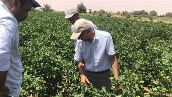 هل نهت السنة عن بيع الثمار قبل نضجه؟ دار الإفتاء تجيبورد إلى دار الإفتاء المصرية، سؤال يقول (ورد في السنة النبوية المطهرة أن النبي عليه الصلاة