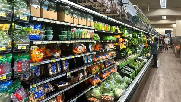 أسعار السلع اليوم كرتونة البيض ب 153 جنيه والدواجن ب 66 .. والذهب عيار 18 يسجل 2949 يستعرض موقع افاق عربية، أسعار الخضراوات والفاكهة بسوق العبور،