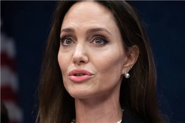 طفرة أنجلينا جولي.. هل تؤثر على خصوبة النساء؟ متفرقات شاهد المقال التالي من صحافة مصر عن طفرة أنجلينا جولي هل تؤثر على خصوبة النساء؟، طفرة أنجلينا