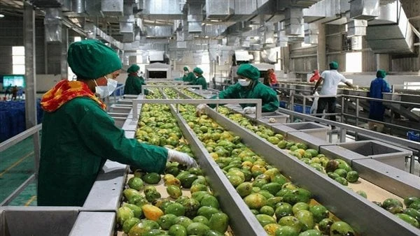 الهيئة العربية للاستثمار والإنماء الزراعي تبحث الفرص الاستثمارية في السعودية وإفريقيا بحث رئيس مجلس إدارة الهيئة العربية للاستثمار والإنماء الزراعي