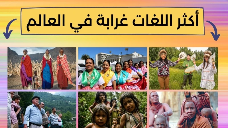 لم نسمع عنها من قبل.. أغرب 8 لغات فى العالميوجد أكثر من 7000 لغة حول العالم، حيث يوجد أكثر من 2400 لغة معرضة لخطر الانقراض، ورغم العدد الكبير من