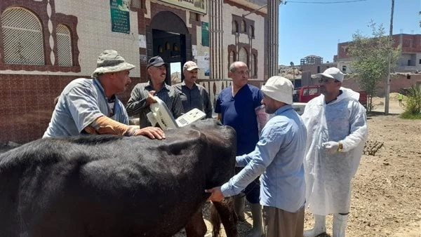 الزراعة: علاج وفحص 960 رأس ماشية مجانا لدى المربين في بورسعيدأطلقت وزارة الزراعة واستصلاح الأراضي، قافلة بيطرية مجانية في محافظة بورسعيد، استهدفت عددا من قرى المحافظة، لتقديم الدعم