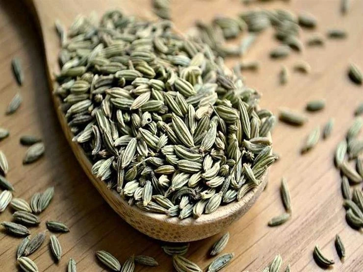 هل يمكن للحامل والمرضعة تناول الشمر؟ لايف ستايل لايف ستايل، هل يمكن للحامل والمرضعة تناول الشمر؟،01 00 ص الجمعة 23 أغسطس 2024 هل تفكرين في إضافة الشمر إلى نظامك الغذائي أثناء الحمل