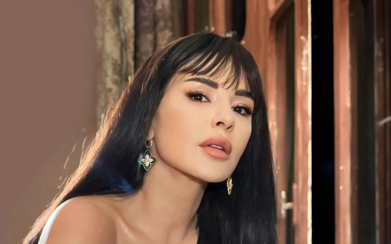 محادثة على إنستغرام كشفت ملامح مسلسل ماغي بو غصن الرمضاني إليكم التفاصيل تفاعلت الكاتبة اللبنانية، ندين جابر، مع متابعيها عبر إنستغرام إذ طلبت منهم توجيه أسئلتهم لها، بعد أن أنهت ك