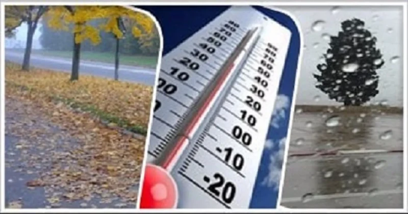 حالة الطقس المتوقعة خلال فصل الخريف القادم مناوشات الأمطار تبدأ على محافظات الساحلحالة الطقس المتوقعة خلال فصل الخريف القادم مناوشات الأمطار تبدأ على