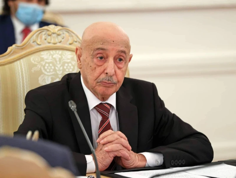 ليبيا.. رئيس مجلس النواب يؤكد استمرار التعاون مع البعثة الأممية _المحليات شاهد المقال التالي من صحافة السعودية عن ليبيا رئيس مجلس النواب يؤكد استمرار