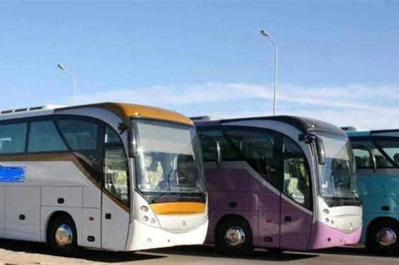 السياحة: فحص نحو 14 ألف مركبة سياحية حتى نهاية أغسطس الجاري واصلت وزارة السياحة والآثار، ممثلة في الإدارة المركزية لشركات السياحة، جهودها المستمرة