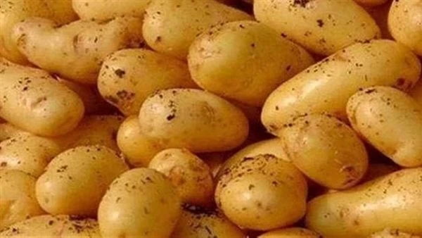 الأسباب الحقيقية وراء ارتفاع أسعار البطاطس الأخير.. وهذا موعد الانخفاض تزداد أسعار البطاطس يوما بعد يوم بالأسواق، حتى أن أسعارها تتراوح من 25 ل 35