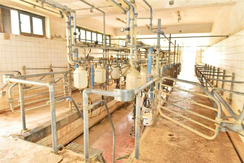 محافظ أسيوط ورئيس تنمية الصعيد يتفقدان محطات الثروة الحيوانية تفقد اللواء هشام أبوالنصر، محافظ أسيوط، اليوم الأربعاء، يرافقه اللواء أركان حرب شريف