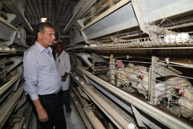 وزير الزراعة يتفقد مزرعة الإصلاح الزراعي لإنتاج البيض بإيتاي الباروداختتم علاء فاروق وزير الزراعة واستصلاح الأراضي، زيارته إلى محافظة البحيرة، بتفقد