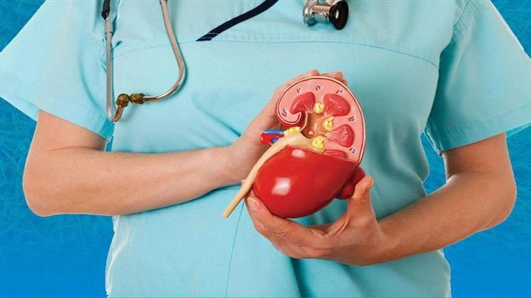 أطعمة تسبب حصوات الكلى- توقف عن تناولها لايف ستايل شاهد المقال التالي من صحافة مصر عن أطعمة تسبب حصوات الكلى توقف عن تناولها، 09 00 ص الخميس 01 أغسطس 2024 كشف أخصائي أمراض الكلى ال