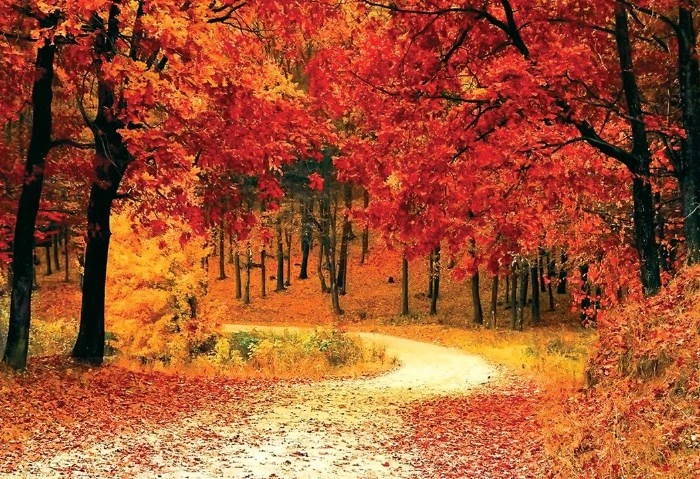 هيئة الأرصاد تعلن موعد انتهاء فصل الصيف وبداية الخريف كشفت الهيئة العامة للأرصاد الجوية عن موعد إنتهاء فصل الصيف وبداية فصل الخريف، إذ يبدأ فصل الصيف