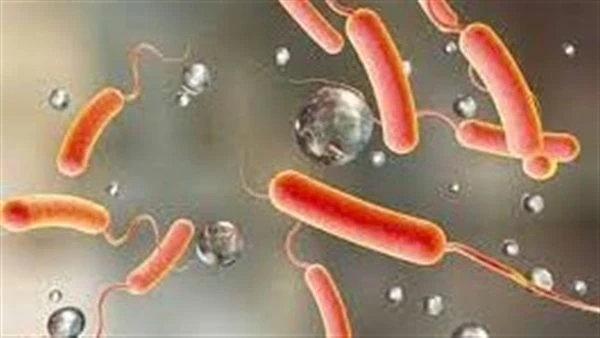 الأعراض وطرق انتقال العدوى .. الصحة تنشر أحدث دليل استرشادي ل الكوليرا أصدرت وزارة الصحة والسكان ، دليلا استرشاديا للتعامل مع مرض الكوليرا ومسببات
