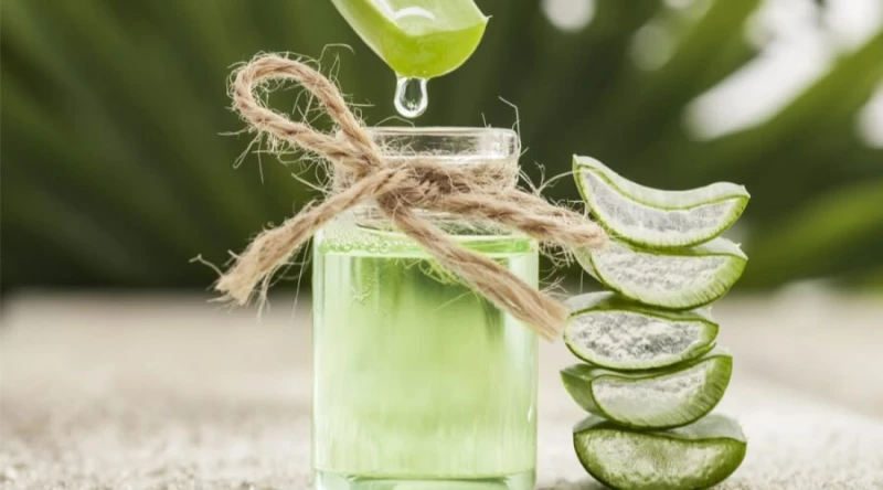 ماسكات الألوفيرا لعلاج قشرة الشعر في الصيفتعد الألوفيرا من أقدم النباتات المستخدمة في العناية بالشعر، وذلك لخصائصها الفريدة التي تغذي وترطب وتعالج