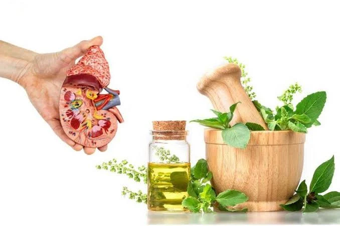 6 أعشاب لتفتيت حصى الكلى.. إليك بعض النصائح الغذائية للوقاية من حصى الكلىتعد حصى الكلى من المشكلات الصحية الشائعة التي قد تسبب ألما شديدا وأعراضا