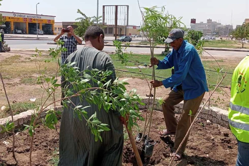ضمن مبادرة اتحضر للأخضر.. محافظ أسيوط: حي شرق يستكمل زراعة الشتلات المثمرة قال اللواء هشام أبوالنصر، محافظ أسيوط، إن فعاليات زراعة وتشجير الشوارع والميادين بالمراكز مستمرة والقرى ض