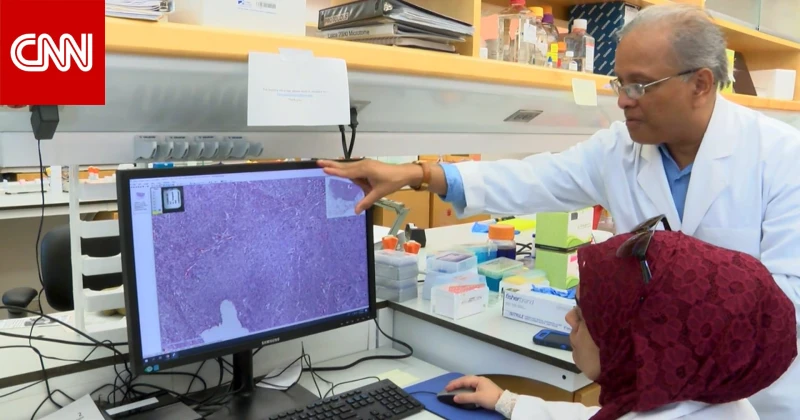 كشف مبكر لسرطان الثدي بواسطة تحليل دم بسيط.. كيف ذلك؟ تكنولوجيا شاهد المقال التالي من صحافة الأفاق عربيةية عن كشف مبكر لسرطان الثدي بواسطة تحليل دم