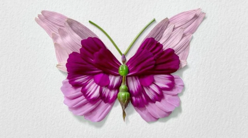 راكو إينوي.. مبدع يحول أوراق الشجر إلى لوحات فنية صور بنسيج من عبق الزهور وحفيف أوراق الأشجار، أبدع الفنان الكندي راكو إينوي، في رسم لوحاته.رحلة راكو إينوي في عالم الرسمفي شتاء يوم