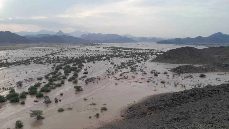 شهدت ولاية البحر الأحمر في السودان الي كارثة مع انهيار سد أربعات والذي يبعد عن مدينة بورتسودان بقرابة 20 كيلومترا، بعد وقوع السيول والأمطار الغزيرة التي شهدها السودان في الأسابيع ا