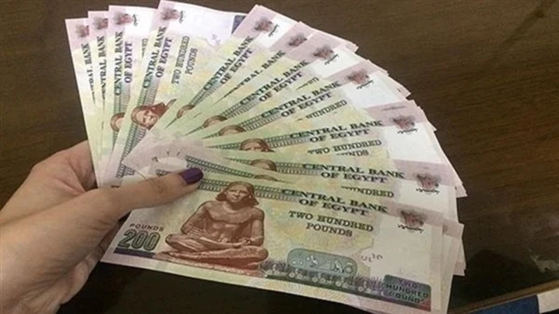 البنوك تكشف عن أفضل شهادات الادخار قبل مناقشة أسعار الفائدة بالمركزيتواصل العديد من البنوك الحكومية والخاصة في القطاع المصرفي المصري تقديم مجموعة