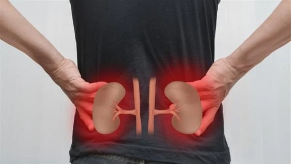 لازم تروح للطبيب فورا.. إليك أعراض سرطان الكلى يعد سرطان الكلى من أخطر الأمراض التي تصيب الإنسان وتسبب مضاعفات خطيرة.وفقا لما جاء في موقع نكشف