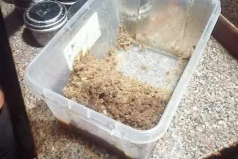 تحرير 24 محضرا لمنشآت مخالفة في حملات تفتيشية بالشرقية شنت إدارة شؤون البيئة بديوان عام محافظة الشرقية، بالتنسيق مع مديريتى الصحة، والتموين، حملات