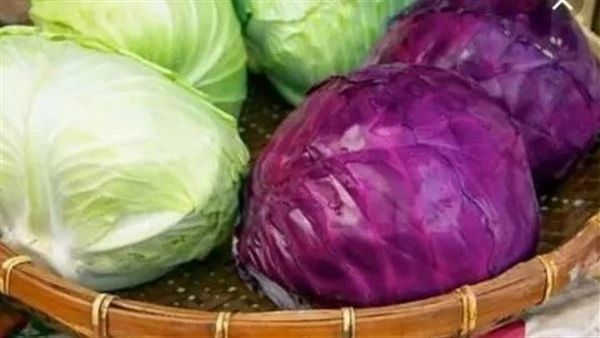 فوائد الملفوف لمرضى السكر أكل الملفوف هو وسيلة غير مكلفة لإضافة فيتامين وفيتامين للنظام الغذائي لمريض السكري، فضلا عن إضافة المواد المضادة للأكسدة،