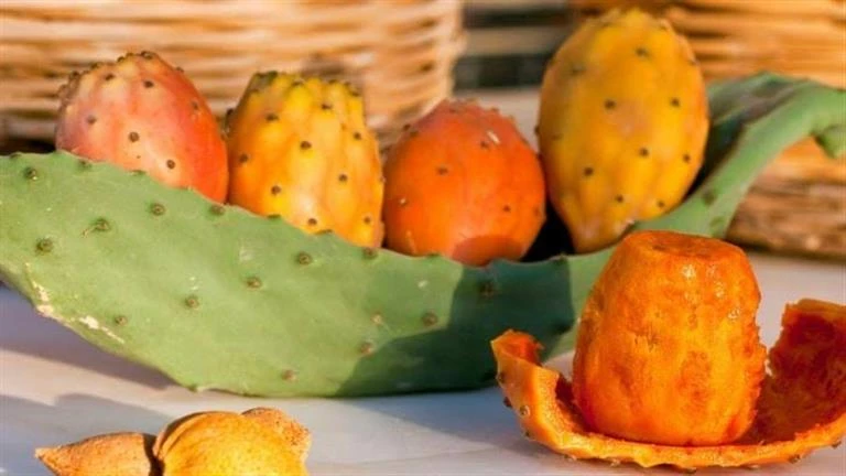 هذا ما يحدث لجسمك إذا أفرطت في التين الشوكي..7 تأثيرات غير متوقعة لايف ستايل شاهد المقال التالي من صحافة مصر عن هذا ما يحدث لجسمك إذا أفرطت في التين