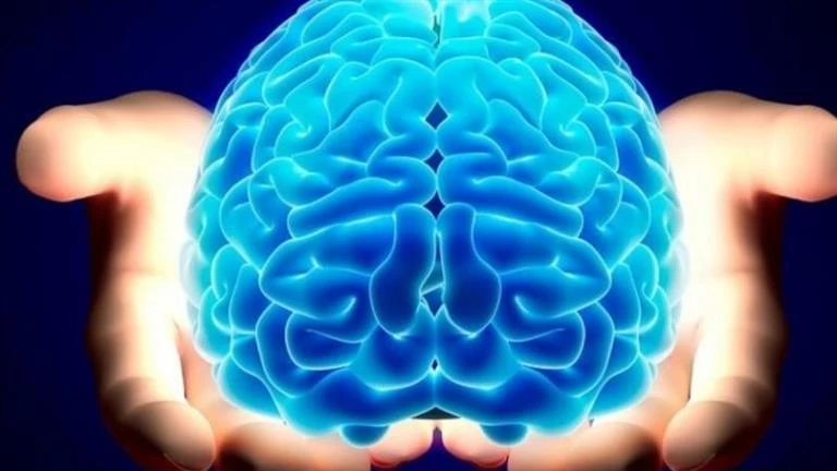 تحذير من هذه الأطعمة.. تسبب مرضا خطيرا يهدد الدماغ لايف ستايل شاهد المقال التالي من صحافة مصر عن تحذير من هذه الأطعمة تسبب مرضا خطيرا يهدد الدماغ، 10