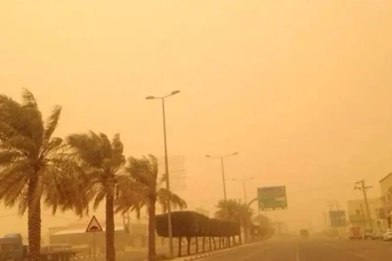 طقس ساخن ورطب مع فرص لأمطار رعدية.. الأرصاد تحذر من تقلبات طقس السبتمتوقع أن يكون الطقس شديد الحرارة اليوم في معظم مناطق مصر، بما في ذلك القاهرة