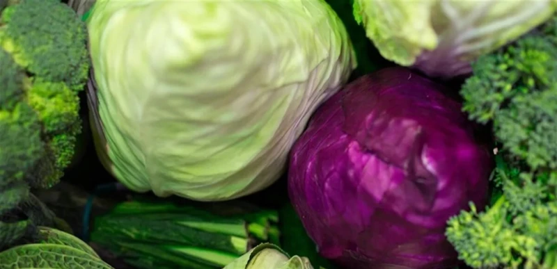 أيهما أفضل الملفوف الأحمر أم الأخضر؟ اليكم آخر الدراسات صحة شاهد المقال التالي من صحافة لبنان عن أيهما أفضل الملفوف الأحمر أم الأخضر؟ اليكم آخر