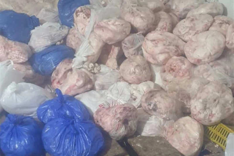 صحة المنيا: تحرير 359 محضرا وإعدام 1042 كيلو أغذية فاسدة شدد اللواء عماد كدواني، محافظ المنيا، على استمرار تكثيف الحملات الرقابية على المنشات الغذايية والمحال التجارية بجميع مراكز 