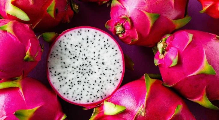 تقرير: قصة نجاح في سهول ذيبان بعد زراعة فاكهتي الدراجون والأناناس - فيديو _الأخبار شاهد المقال التالي من صحافة الأردن عن تقرير قصة نجاح في سهول ذيبان