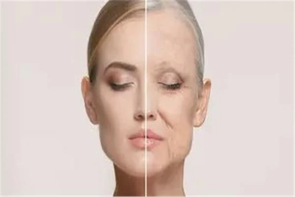 النظام الغذائي النباتي أم المختلط.. أيهما أفضل لإبطاء الشيخوخة ؟ متفرقات شاهد المقال التالي من صحافة مصر عن النظام الغذائي النباتي أم المختلط أيهما