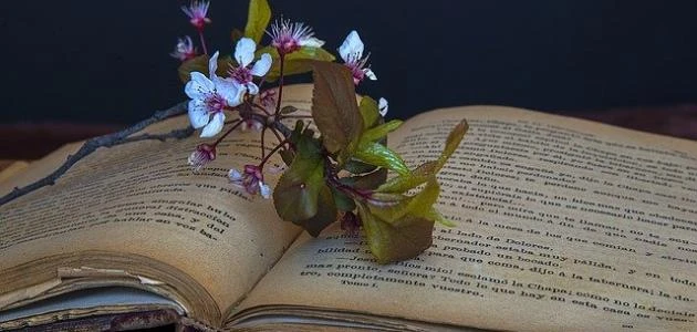 عبارات عن الذكريات.. أجمل الكلمات المكتوبة عن الذكريات والألمأجمل الكلمات المكتوبة عن الذكريات والألم تؤثر في النفس، حيث إن الذكرى تظل عالقة في العقل الباطني للإنسان، وتخرج على هيئ