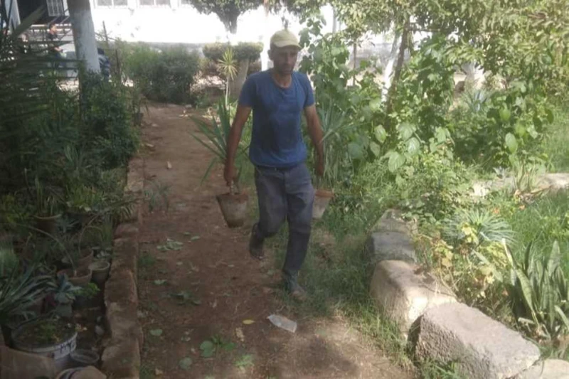 زراعة 135 شتلة بالطريق الدائري في المنيا ضمن 100 مليون شجرة أكد اللواء عماد كدواني، محافظ المنيا، استمرار الوحدات المحلية في تنفيذ المبادرة الرئاسية