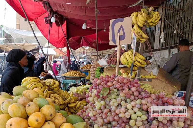 الجوافة ب 25 جنيها والمانجو ب 20.. ارتفاع أسعار الفاكهة في أسواق الإسكندرية اليوم الإثنين 12 أغسطس 2024 تشهد أسعار الفاكهة فى أسواق الاسكندرية، ارتفاعا ملحوظا فى معظم أصناف الفاكهة