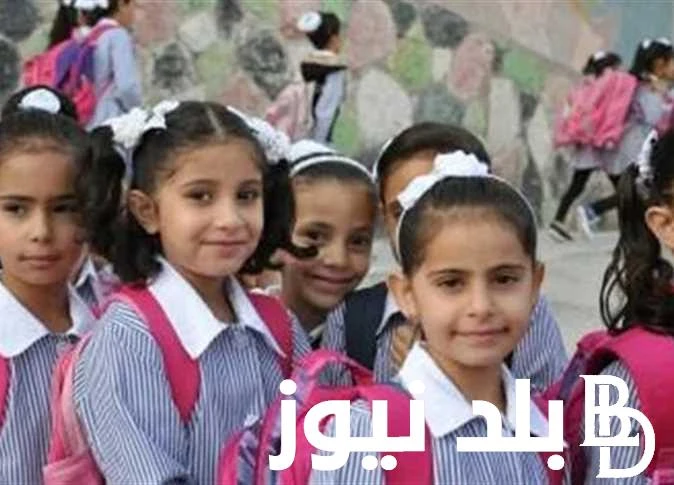 التربية و التعليم ترد علي الاخبار المنتشرة بشأن تأجيل العام الدراسي الجديد 20242025ازدادت مؤشرات البحث في الوقت الحالي من قبل الكثير من الطلاب و