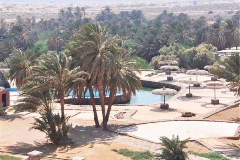 واحة حمام موسى فى الطور.. متنفس للأهالى ومزار سياحى تعد واحة حمام موسى فى طور سيناء من أهم المزارات السياحية والعلاجية فى محافظة جنوب سيناء، للزوار من المحافظات أو السياح القادمين