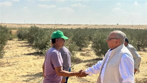 بحوث الصحراء: تطوير أصناف جديدة من المحاصيل تتناسب مع الظروف البيئية بسيناءأكد نائب رئيس مركز بحوث الصحراء الدكتور محمد عزت، اليوم السبت، دعم إدارة