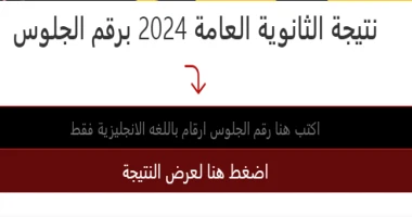 النتيجة اذا لم يحمل ويعرض ضفحه وفورم النتيجة برجاء اعد تحميل الصفحة نتيجة الثانوية العامة 2024 .. وزارة التعليم تعلن نسب النجاح فى 9 مواد أعلنت وزارة