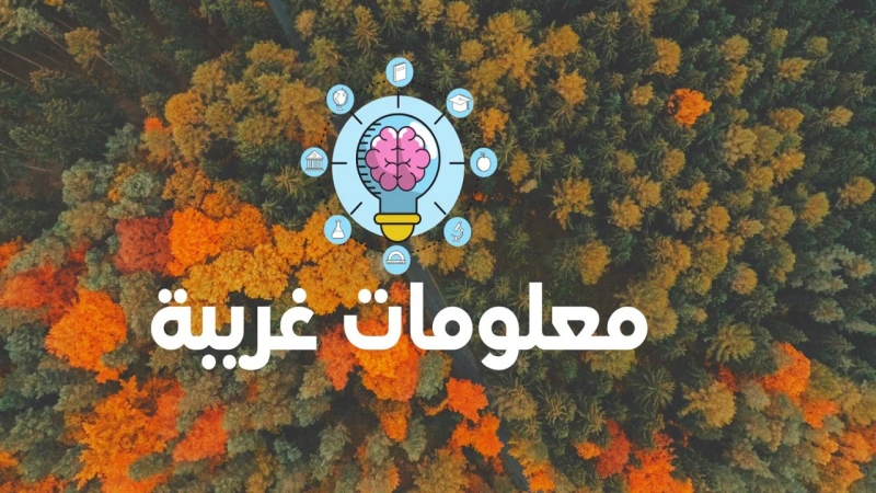 مش هتصدق.. معلومات غريبة لم نسمع عنها من قبليهتم الكثير منا بالبحث عن معلومات غريبة وجديدة عن كل شيئ حولنا، ونحب أن نستكشف العالم بكل ما فيه من غريب