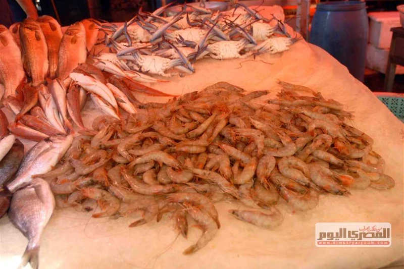 البلطي ب79.. قائمة بأسعار السمك اليوم السبت في سوق العبور سجلت أسعار الأسماك، اليوم السبت 24 أغسطس 2024، استقرارا لجميع الأصناف، خلال تعاملات اليوم،