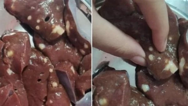 علامات تكشف الكبدة الفاسدة قبل الشراء تعد الكبدة من أشهر الأكلات الشعبية المنتشرة في مصر وتتميز بمذاقها الشهي.وذكر موقع أن تناول الكبدة الفاسدة أو