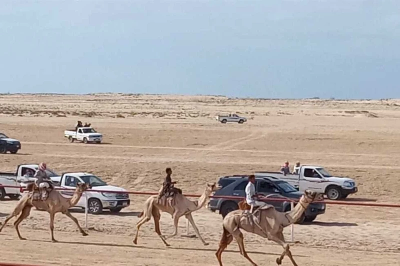 محافظ شمال سيناء يطلق إشارة بدء سباق الهجن بالعريش أطلق اللواء دكتور خالد مجاور محافظ شمال سيناء اليوم الأربعاء، إشارة بدء سباق الهجن التنشيطي في