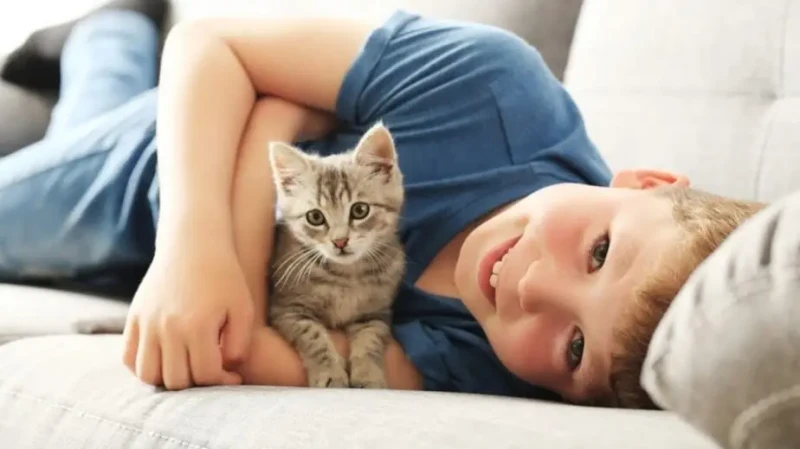 من الطبيعي التعرض لخدش القطط عند اللعب معها، وذلك يتطلب تطهير مكان الخدش في الحال،خوفا من تعرض الجرح لأي ملوثات، فاذا كانت قطتك لا تخرج من المنزل، ولا تختلط مع قطط أخرى خاصة من الش